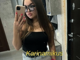 Karinamikus