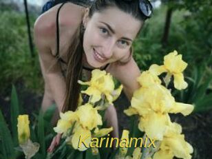 Karinamix