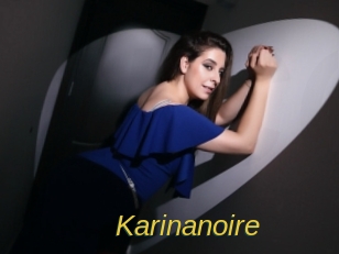 karinanoire Archive DVD ORG