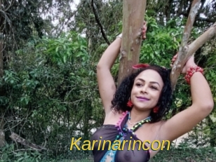 karinarincon Archive DVD ORG