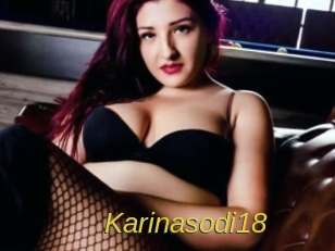 Karinasodi18
