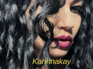 karinnakay Archive DVD ORG
