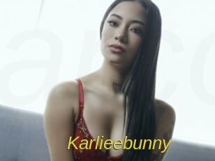 Karlieebunny