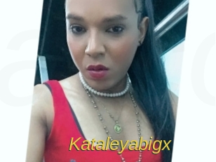Kataleyabigx