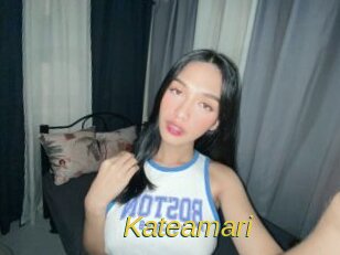 Kateamari