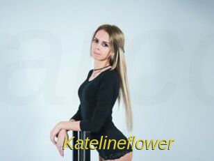 Katelineflower