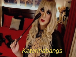 Katerinabangs