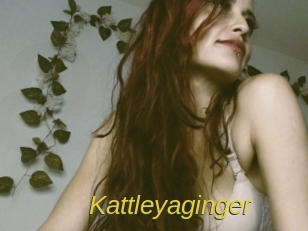 kattleyaginger Archive DVD ORG