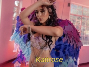 Kattrose