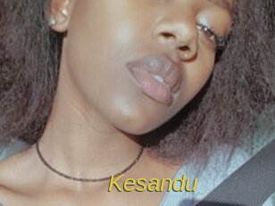 Kesandu