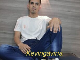 Kevingaviria