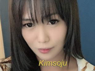 kimsoju Archive DVD ORG