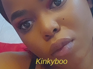 kinkyboo Archive DVD ORG