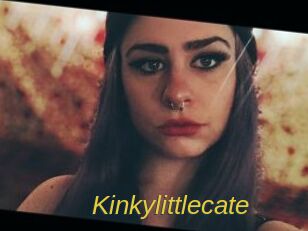 Kinkylittlecate