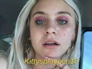 Kittysplaypen18