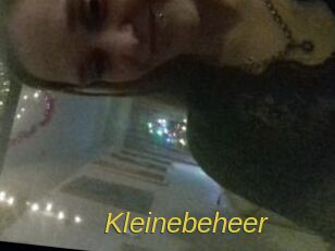 Kleinebeheer