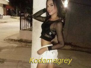 Kodamagrey