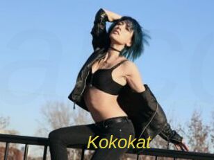 Kokokat