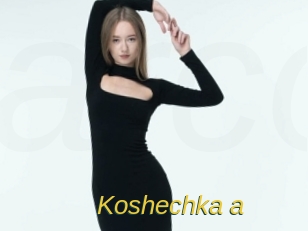 Koshechka_a