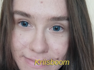 Kriisboom