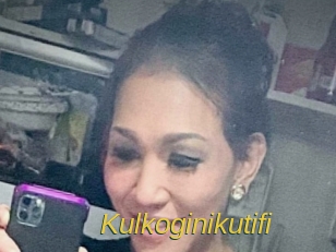 Kulkoginikutifi