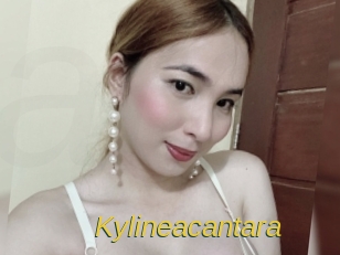 Kylineacantara