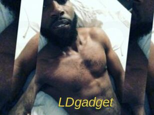 LDgadget