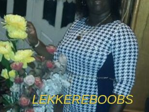 LEKKEREBOOBS Archive DVD ORG