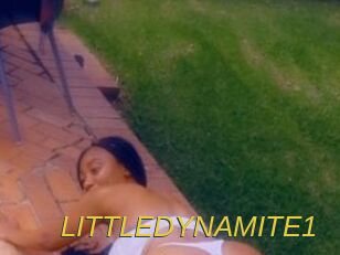 LITTLEDYNAMITE1