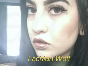 Lachlan_Wolf