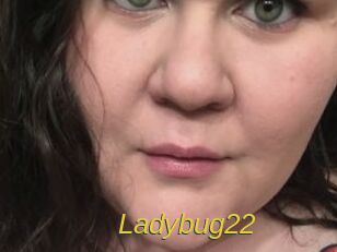 Ladybug22