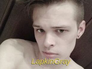LapkinGray