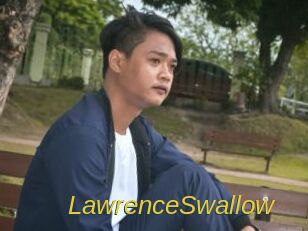 LawrenceSwallow Archive DVD ORG