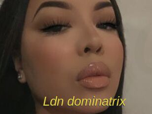 Ldn_dominatrix Archive DVD ORG
