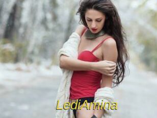 LediAmina