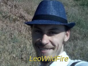 LeoWildFire