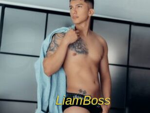 LiamBoss Archive DVD ORG