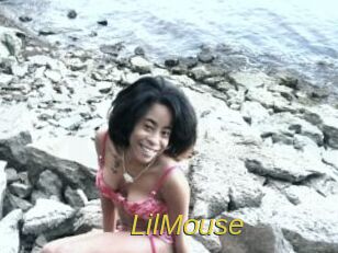 LilMouse Archive DVD ORG