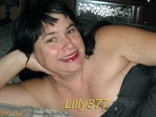 Lilly377
