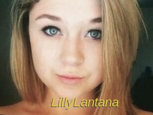 LillyLantana
