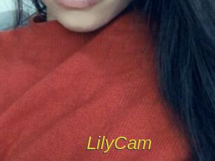 LilyCam Archive DVD ORG