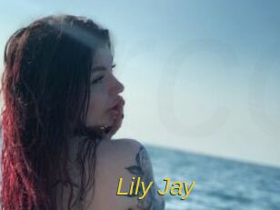 Lily_Jay