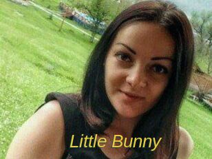 Little_Bunny_