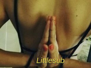 Littlesub