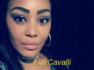 Lizz_Cavalli Archive DVD ORG