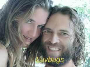 Luvbugs
