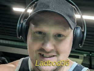 ladbod36 Archive DVD ORG