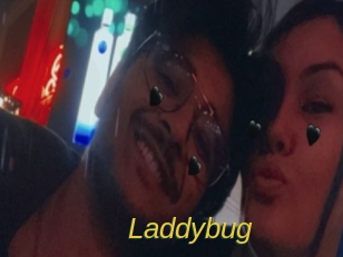 Laddybug