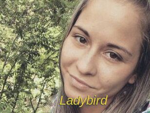 Ladybird