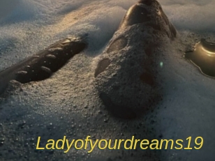 Ladyofyourdreams19